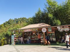 -栾川竹海野生动物园