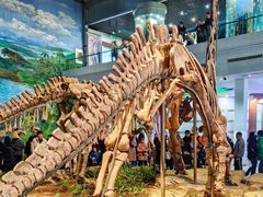 -自贡恐龙博物馆