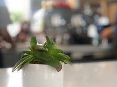 -COFFEE CALL(云锦路店)