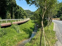 -广州市帽峰山景区