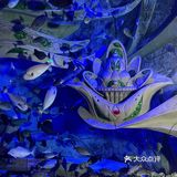 三亚沉浸式体验万圣节🎃失落的空间水族馆“深海尖叫夜