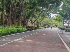 -南宁南湖公园