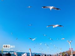 -海埂大坝