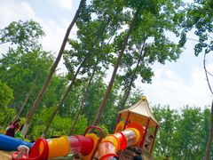 -合肥滨湖国家森林公园