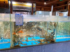 水产区-丹江渔村(首都机场店)