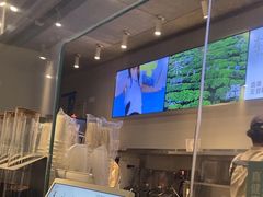 -喜茶(上海打浦桥日月光gelato lab+店)