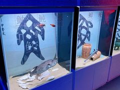 -欢乐海岸海洋奇梦馆