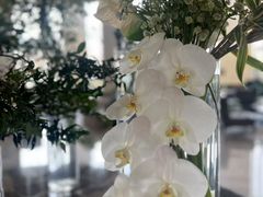 -李沧绿城喜来登酒店大堂吧