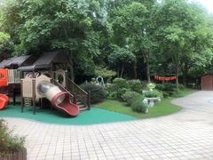 -杭州龙井幼儿园
