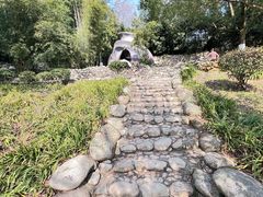 -三江森林温泉度假区