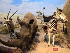 -陕西自然博物馆