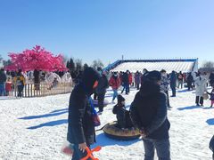 -绿野森林乐园冰雪季