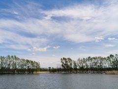 -白渔泡湿地公园