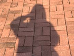 -上海孙中山故居纪念馆