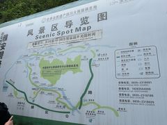 -中国大熊猫保护研究中心雅安碧峰峡基地