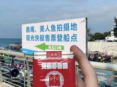 -美人鱼悬崖海景餐厅(鹿嘴山庄店)