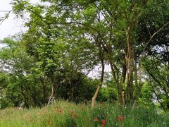 -盘龙城遗址博物院