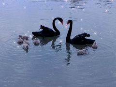 -杭州师范大学(下沙校区)