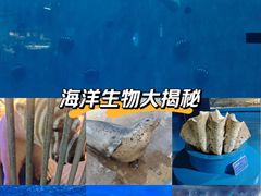 -蓬莱欧乐堡海洋极地世界