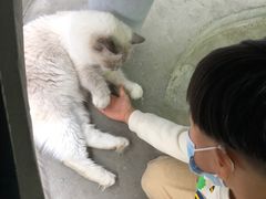 -浣熊柯尔鸭土拨鼠·电玩咖