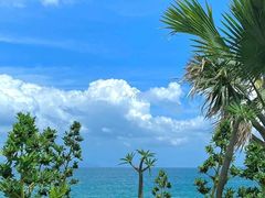 -大梅沙海滨公园