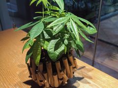 -左悦·艾灸调理·推拿按摩·精油SPA(卓悦汇店)