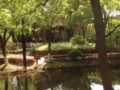 -东方明珠国际旅行社有限公司