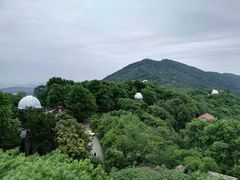 -紫金山天文台