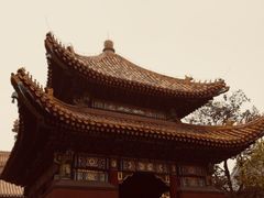 -大海碗·京菜炸酱面(雍和宫店)