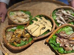 -滇野云南野生菌餐厅(陕西南路店)