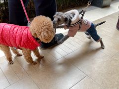 -王府井奥莱临潼小镇(临潼店)