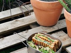 -PlantsEatery·植物食堂(REX春熙店)