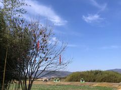 -良渚古城遗址公园