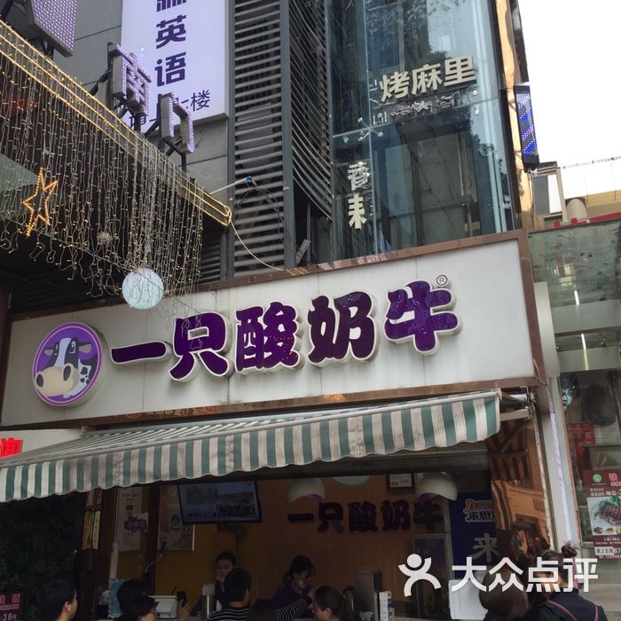 一只酸奶牛