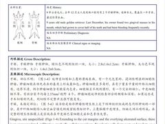 -良伴无忧宠物医院(泰欣嘉园店)