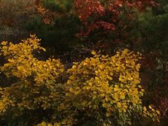 android_upload_pic-焦作青龙峡风景名胜区