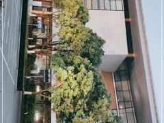 -苏州独墅湖体育馆