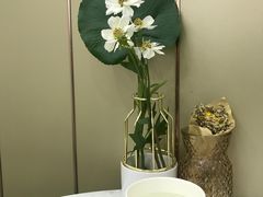 -慈宁宫鲜炖燕窝(文一物美店)