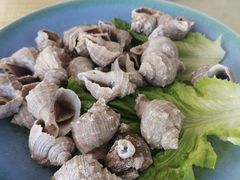 -这片海·海景餐厅(博鳌店)