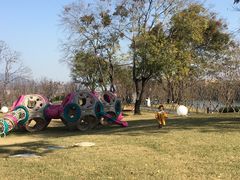 -福建鲤鱼洲酒店