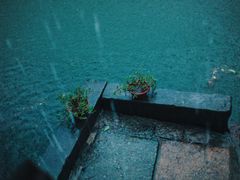 -丝绸小镇荻港古村