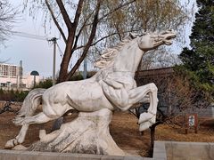 -莲花池公园