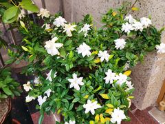 -宾朋海鲜饭庄(兴海路店)