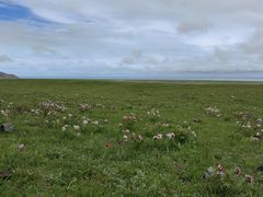-青海湖国家重点风景名胜区