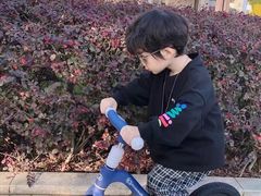 -八爪矩阵极限运动馆·儿童平衡车·感统训练(南海子公园校区)