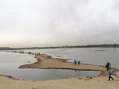 -丁香湖公园