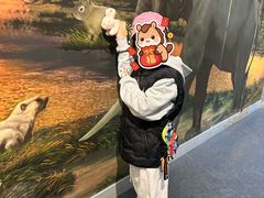 -北京周口店北京人遗址博物馆