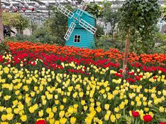 -南宫五洲植物乐园