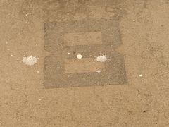 -江湾体育中心游泳馆