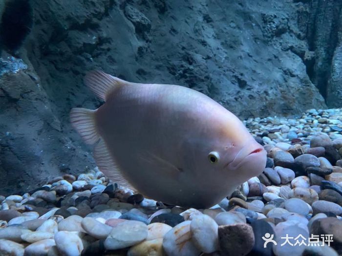 正佳极地海洋世界图片